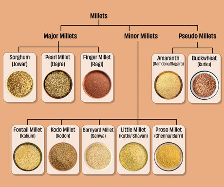 Types of Millets & their Nutritional Facts - Nourify