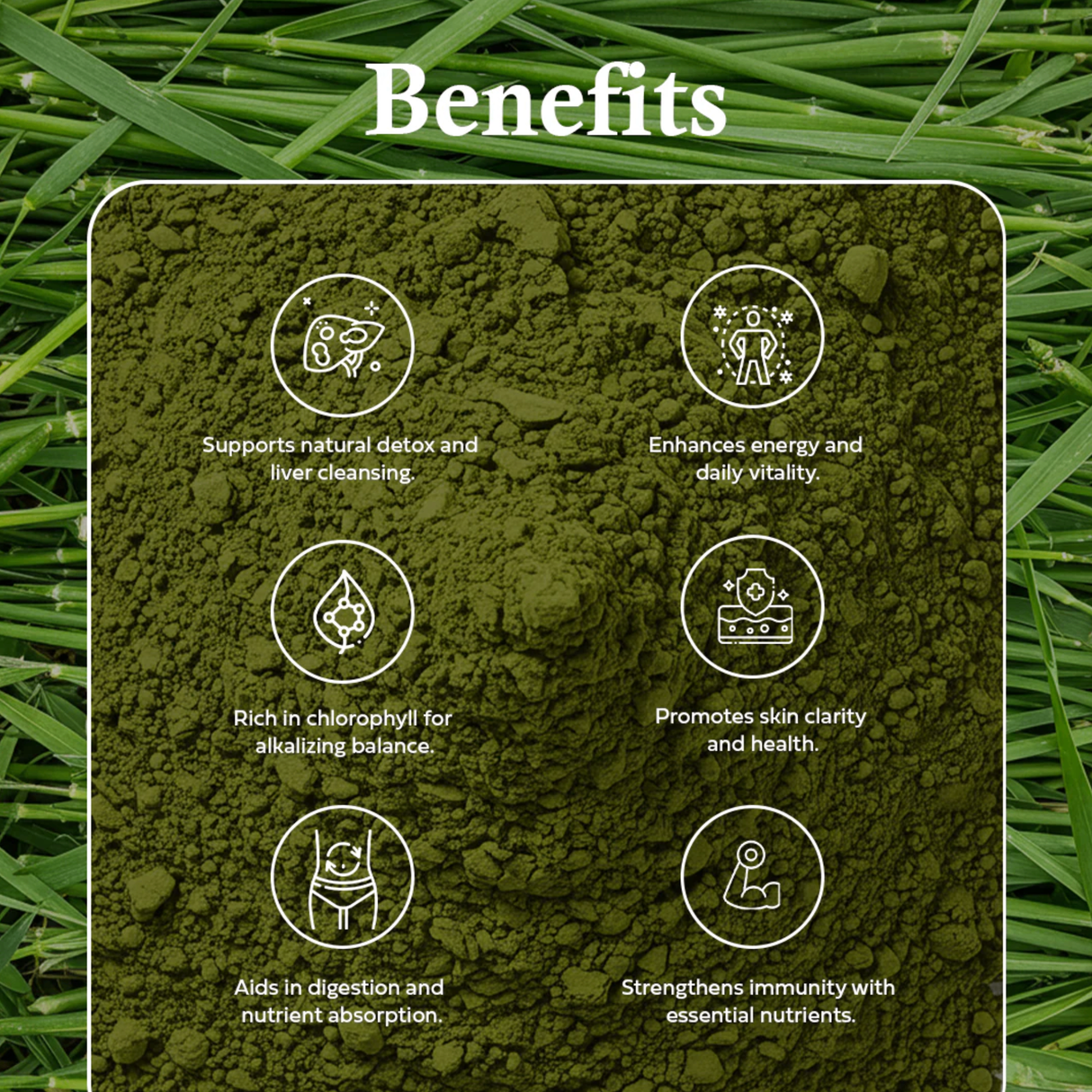 OLE Nutrients Barley Grass Juice Powder