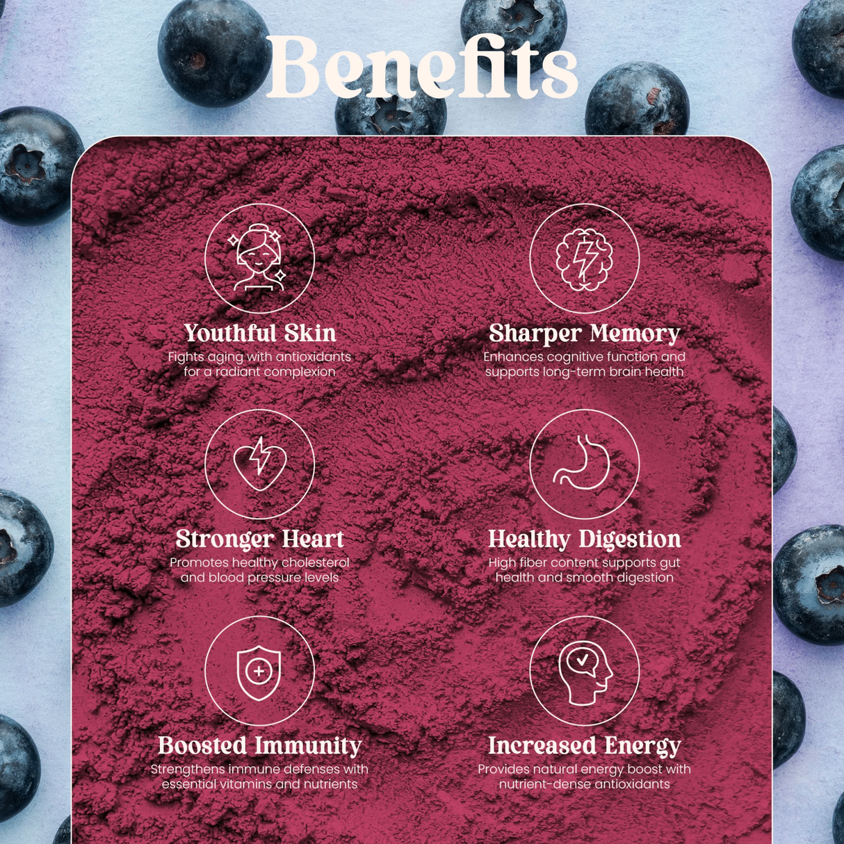 OLE Nutrients Freeze Dried Blueberry Powder