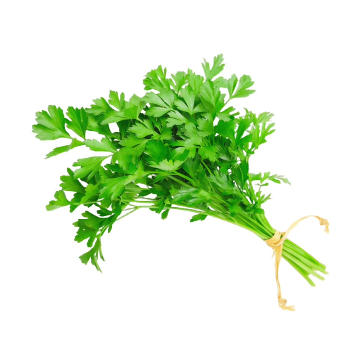 Nourify Fresh Parsley Leaves Bunch