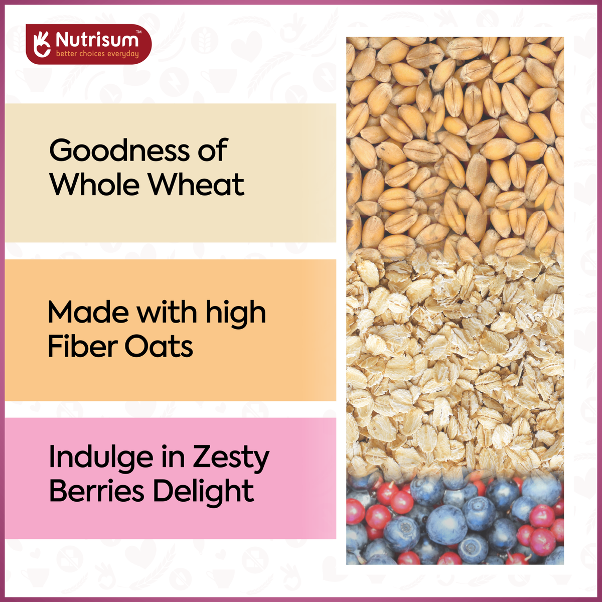 Nutrisum Oats Cookies -Mixed Berries | 70g