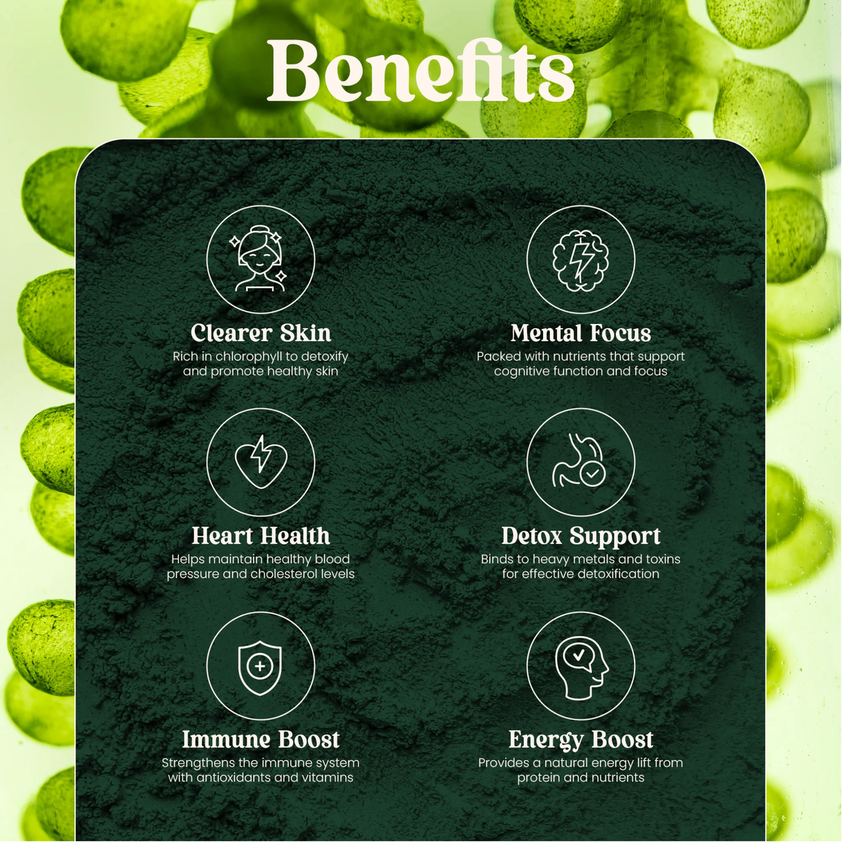 OLE Nutrients Chlorella Powder