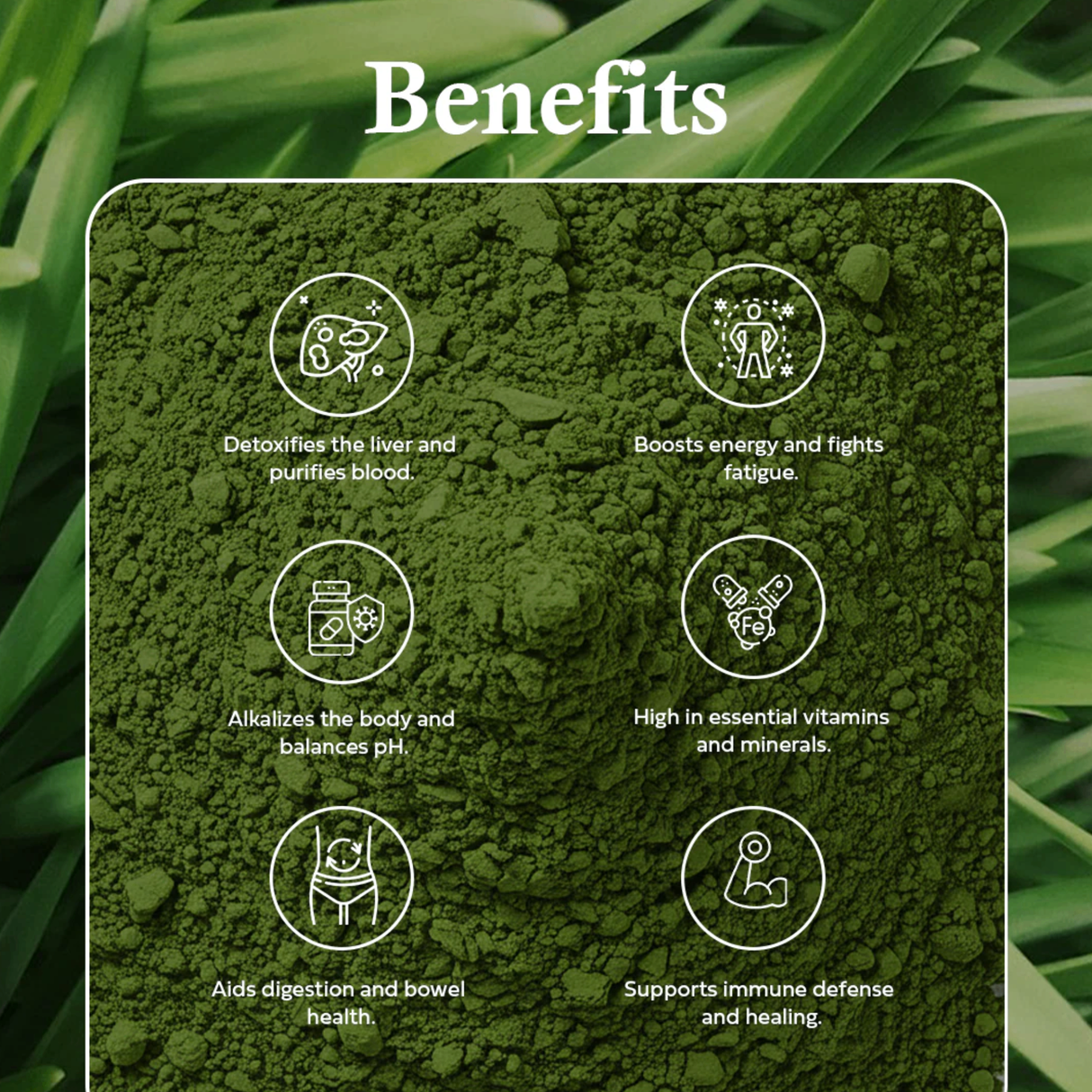 OLE Nutrients Wheatgrass Juice Powder
