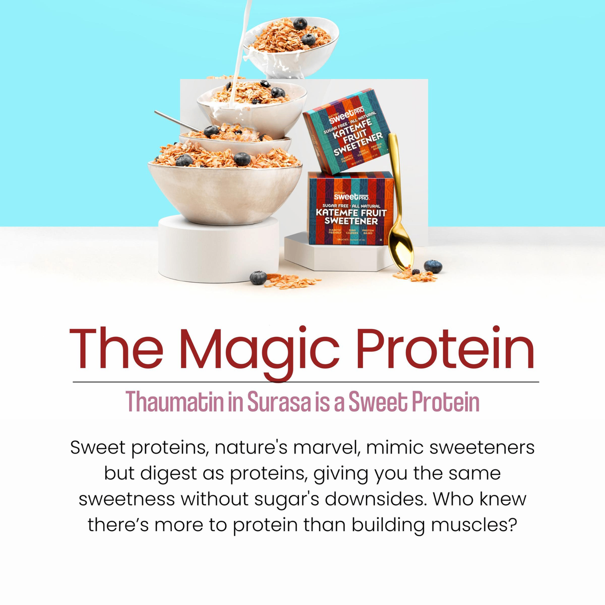 SURASA SweetPro Sugar-Free Natural Sweetener | 1g x 50 sachets